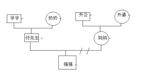 社工家庭系统图怎么画图片